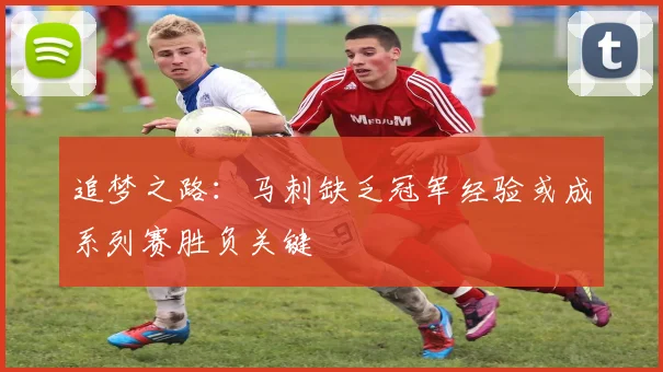 追梦之路：马刺缺乏冠军经验或成系列赛胜负关键