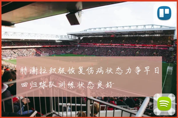 特谢拉积极恢复伤病状态力争早日回归球队训练状态良好